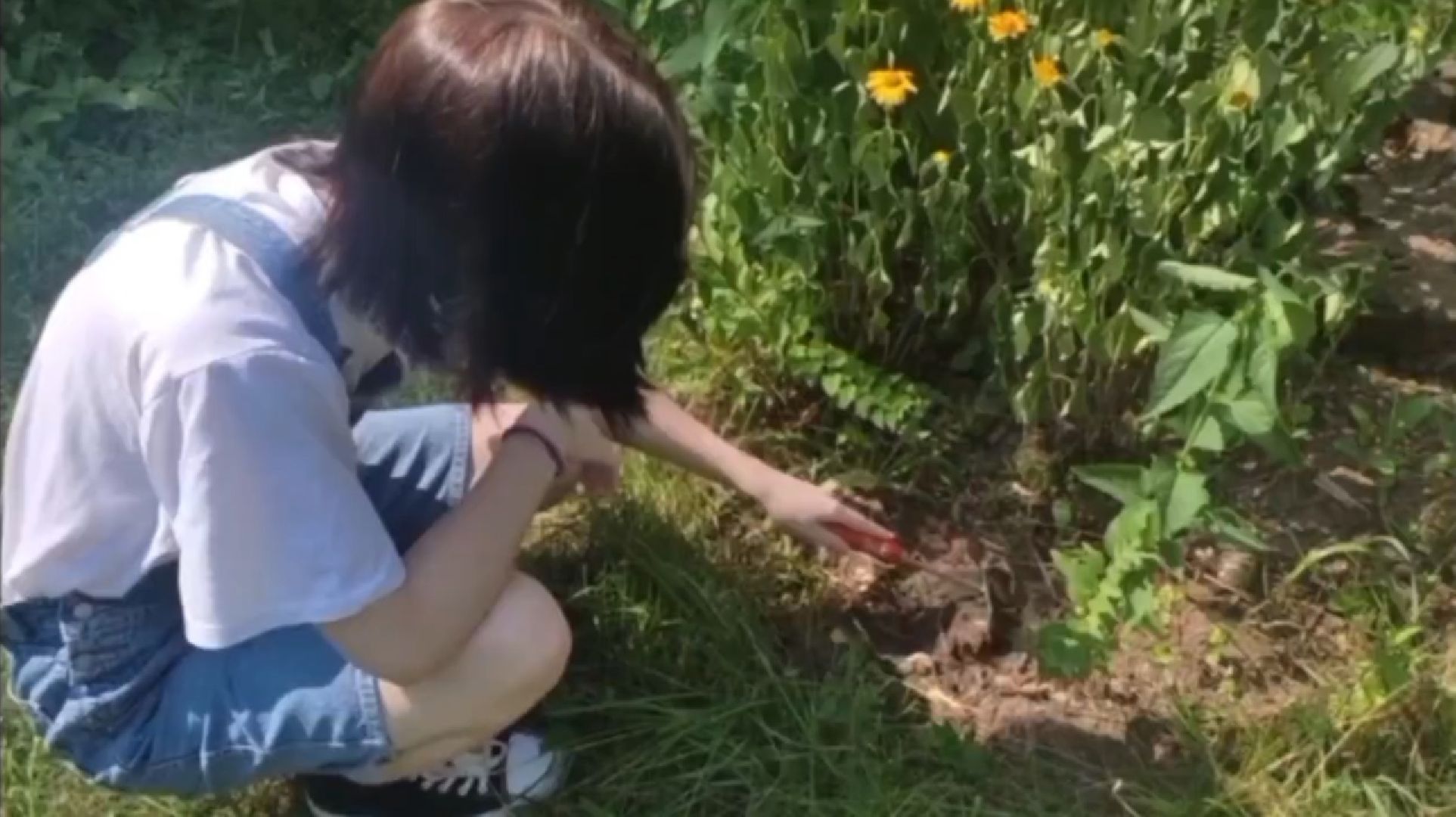 Город-сад, конкурс, Пушкарёва, Прохоров, номинации