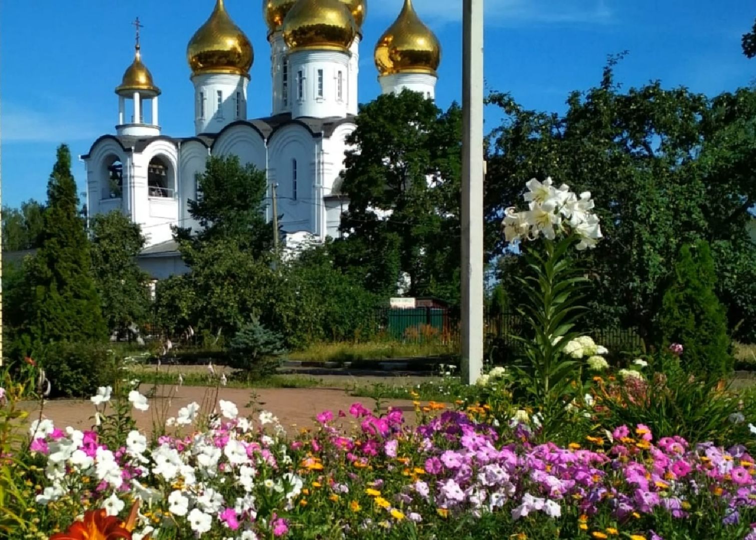 Город-сад, конкурс, Пушкарёва, Прохоров, номинации