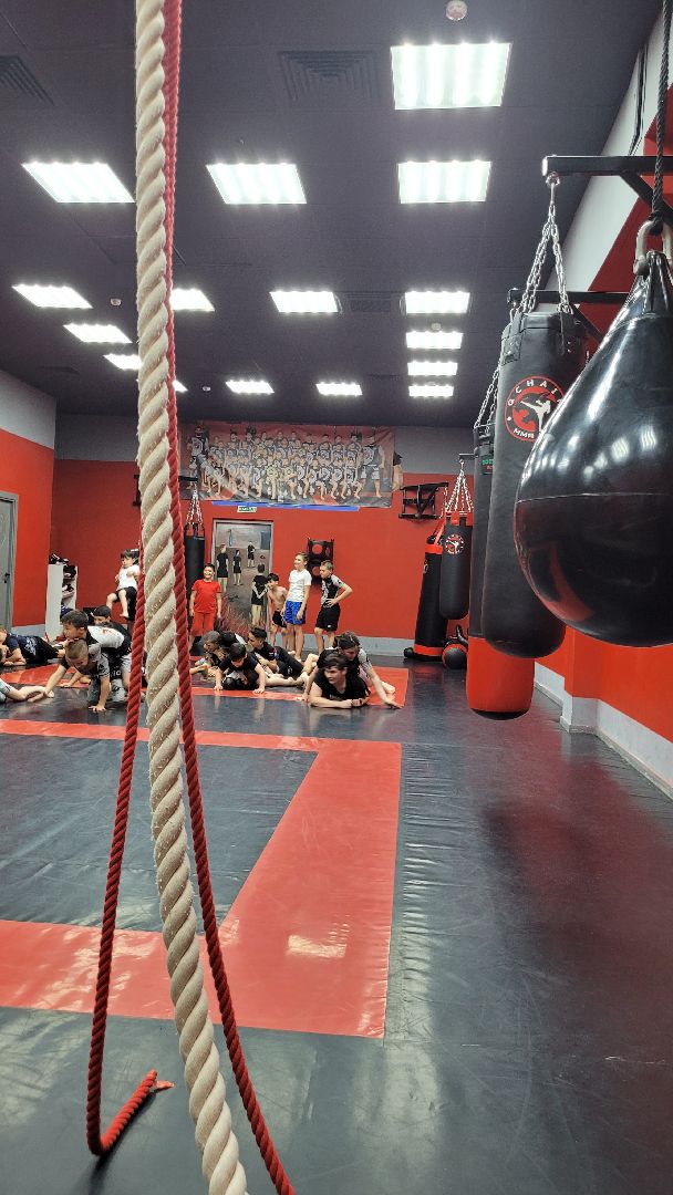 спорт; дети; бойцы; победы