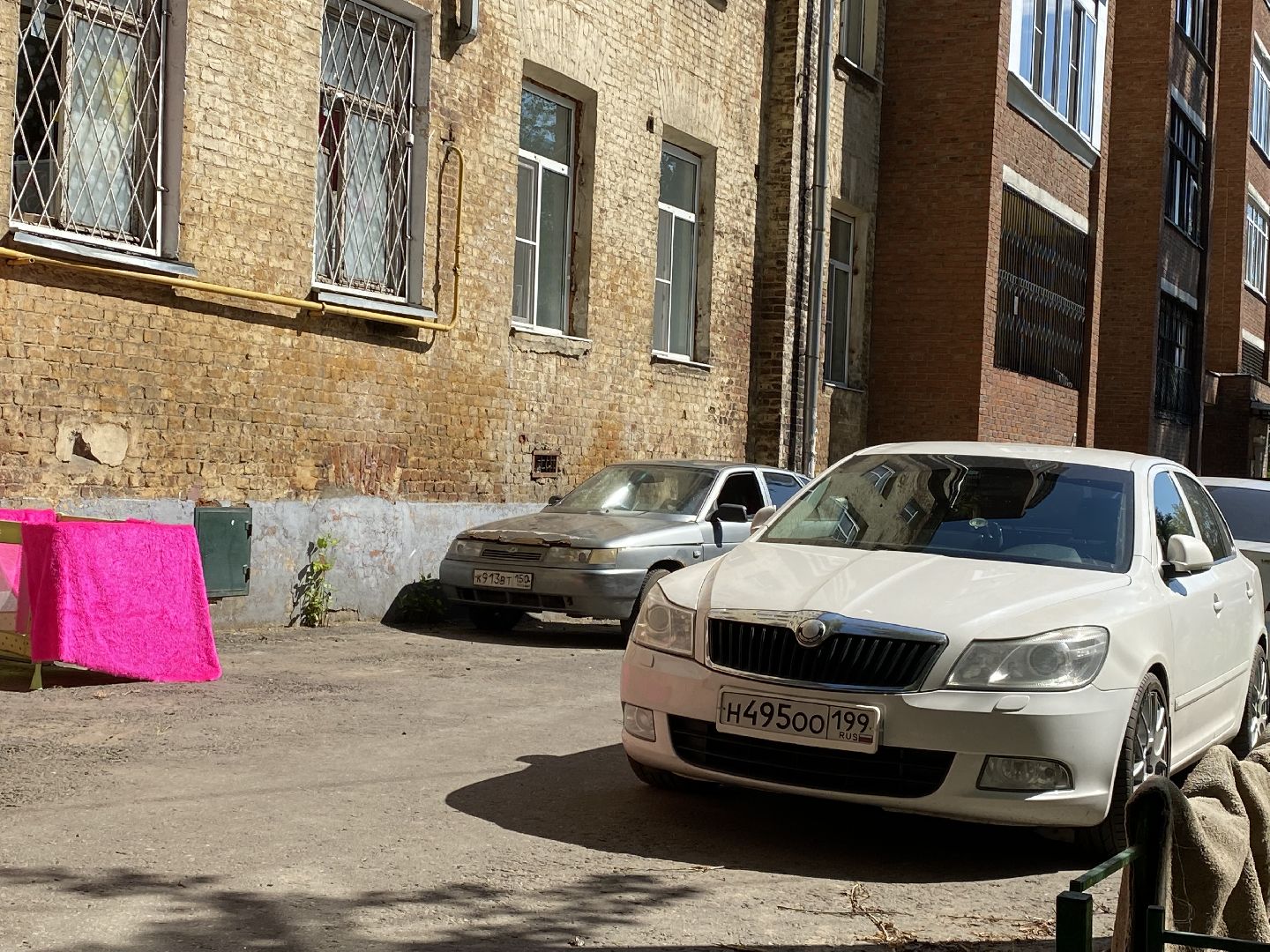 Балашиха, сурикат, экзотическое животное, мини-пиг, прогулка