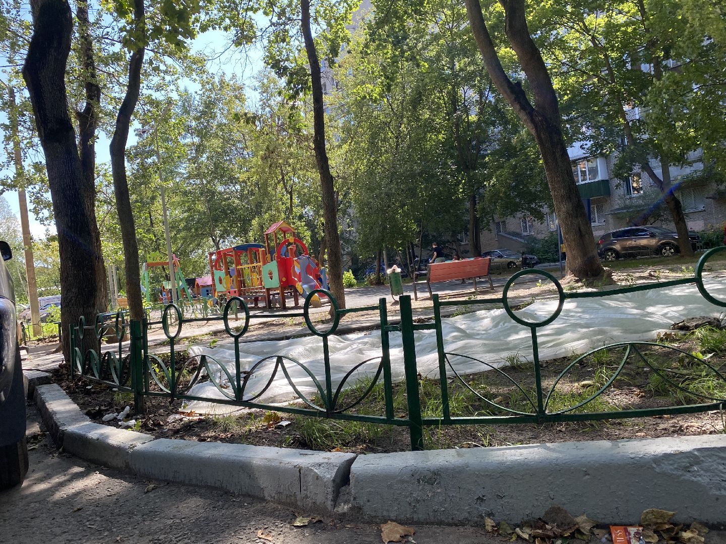 Балашиха, сурикат, экзотическое животное, мини-пиг, прогулка