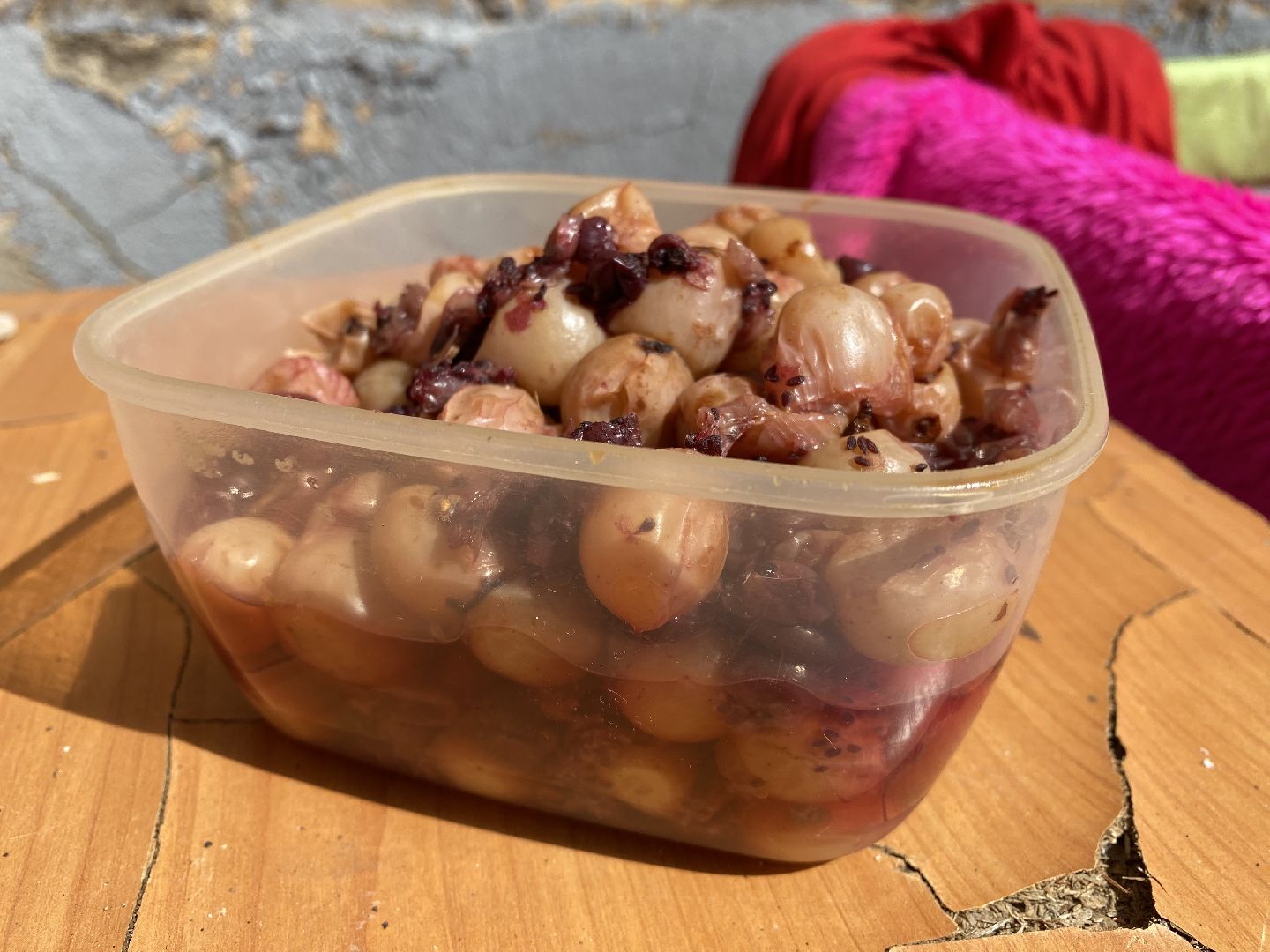 Балашиха, сурикат, экзотическое животное, мини-пиг, прогулка