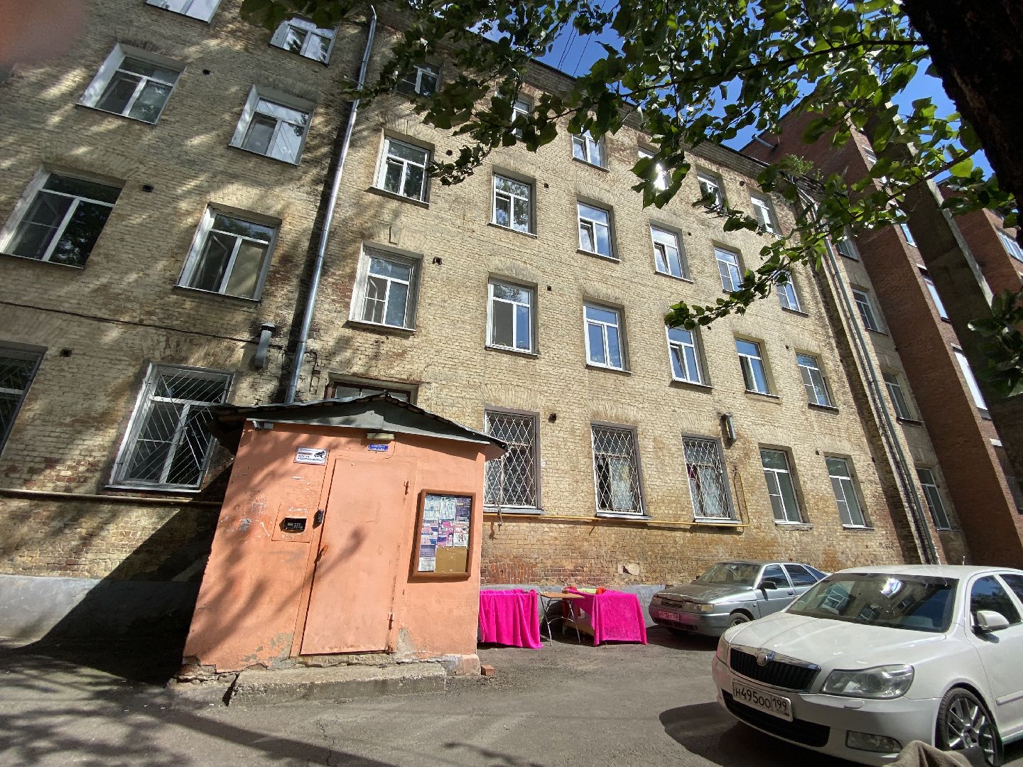 Балашиха, сурикат, экзотическое животное, мини-пиг, прогулка