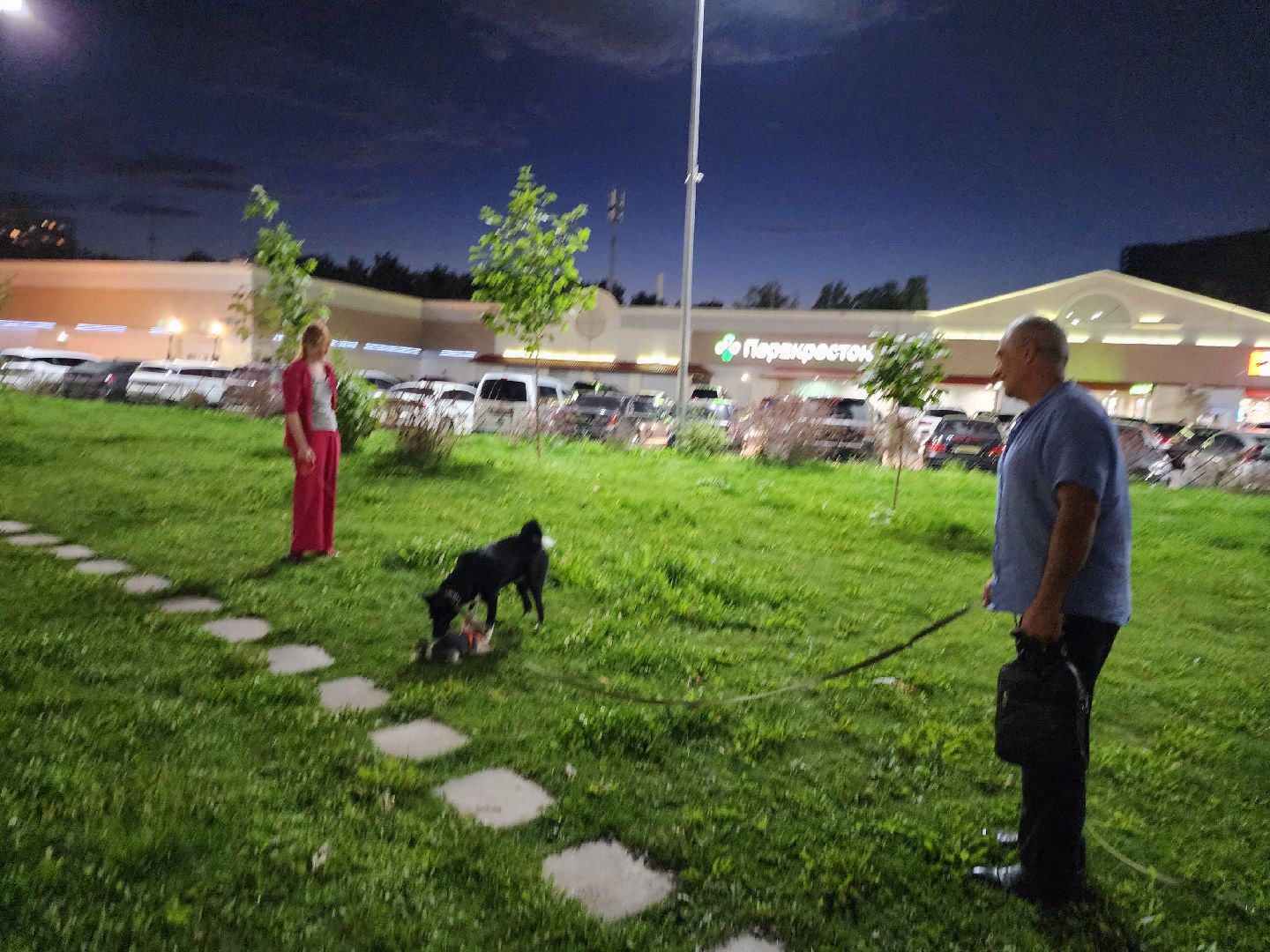 Подольск, зоозащитник, Айрапетян, собаки, животные