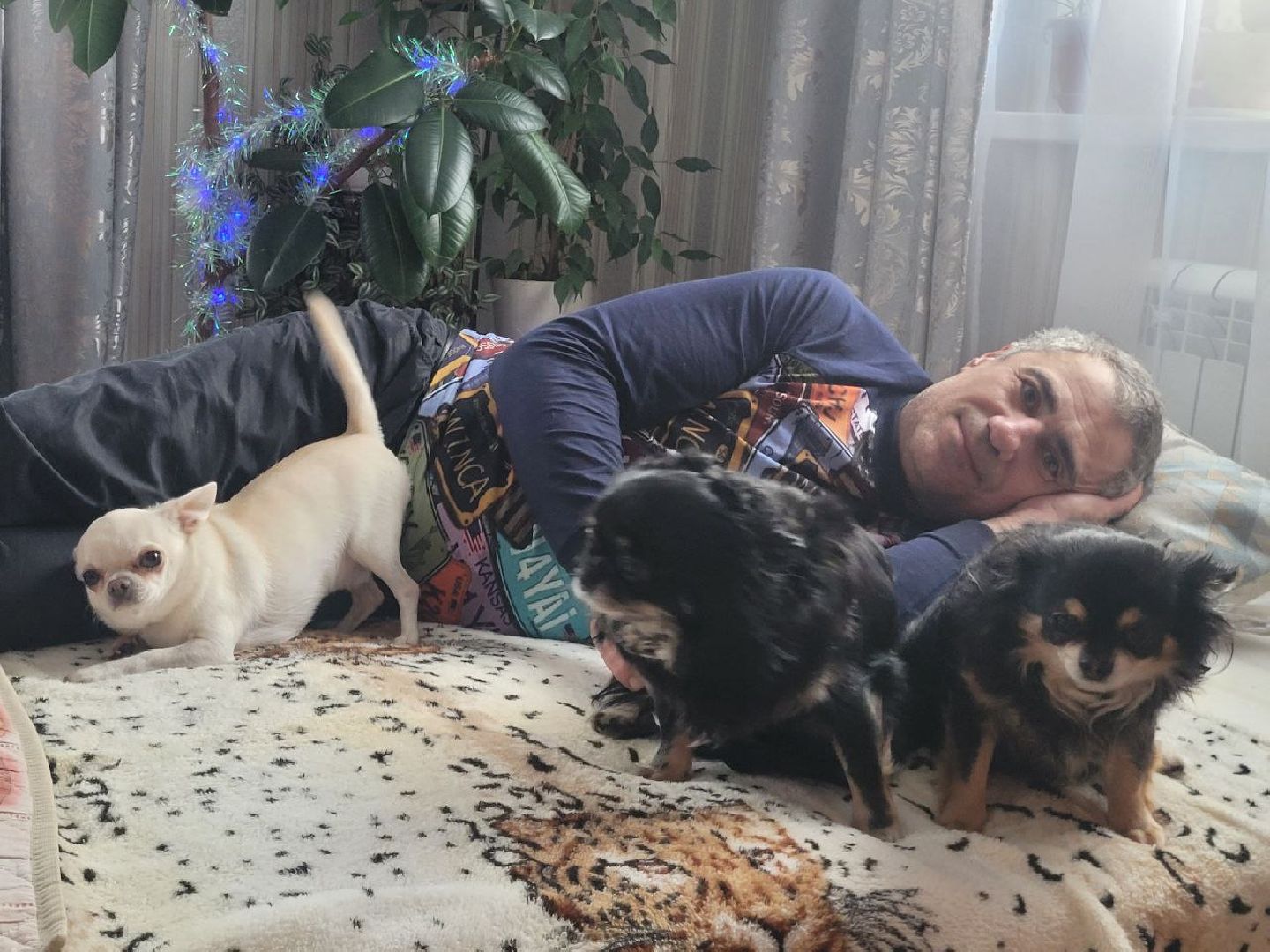 Подольск, зоозащитник, Айрапетян, собаки, животные