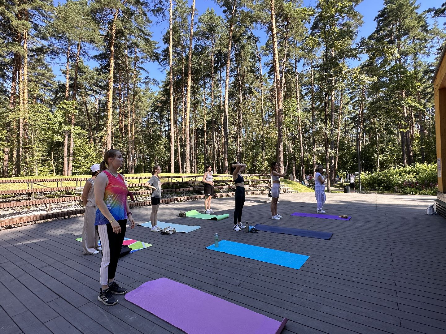 Одинцово, Фестиваль йоги, Гвоздестояние