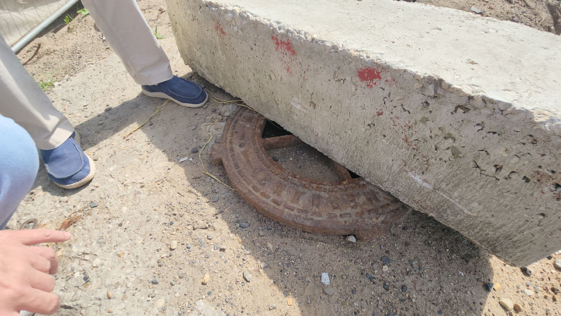 Пушкино, Пушкинский округ, история, краевед, библиотека, лето в Подмосковье