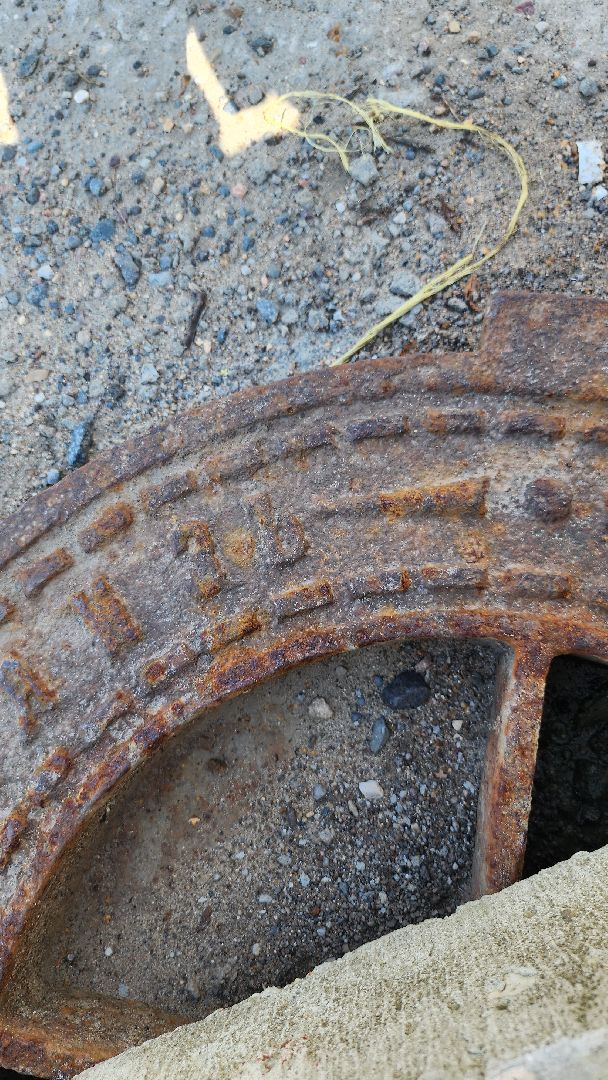 Пушкино, Пушкинский округ, история, краевед, библиотека, лето в Подмосковье