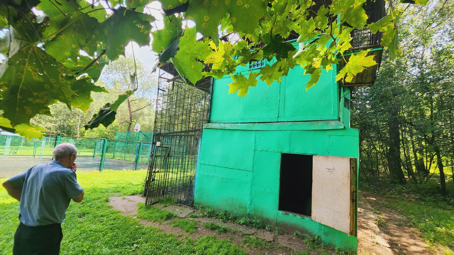 Подмосковье, Ивантеевка, общество