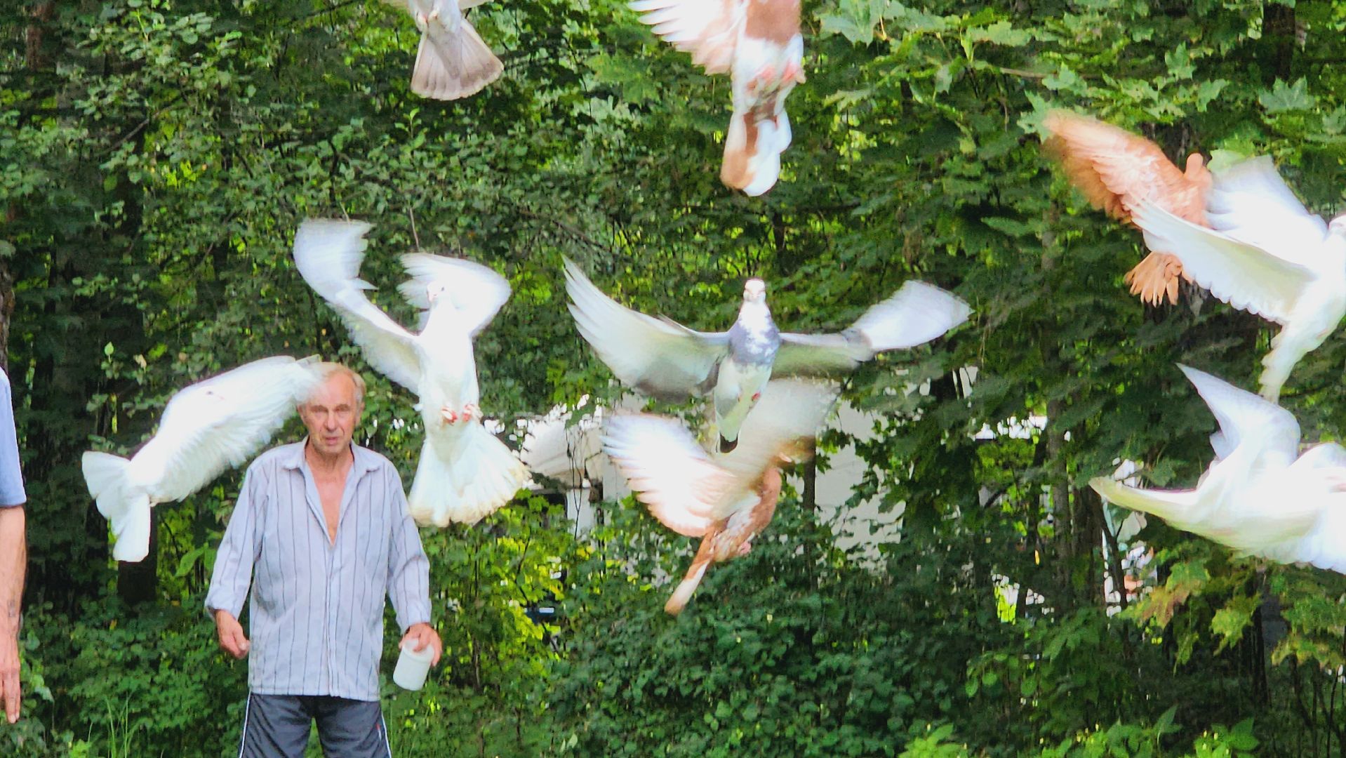 Подмосковье, Ивантеевка, общество