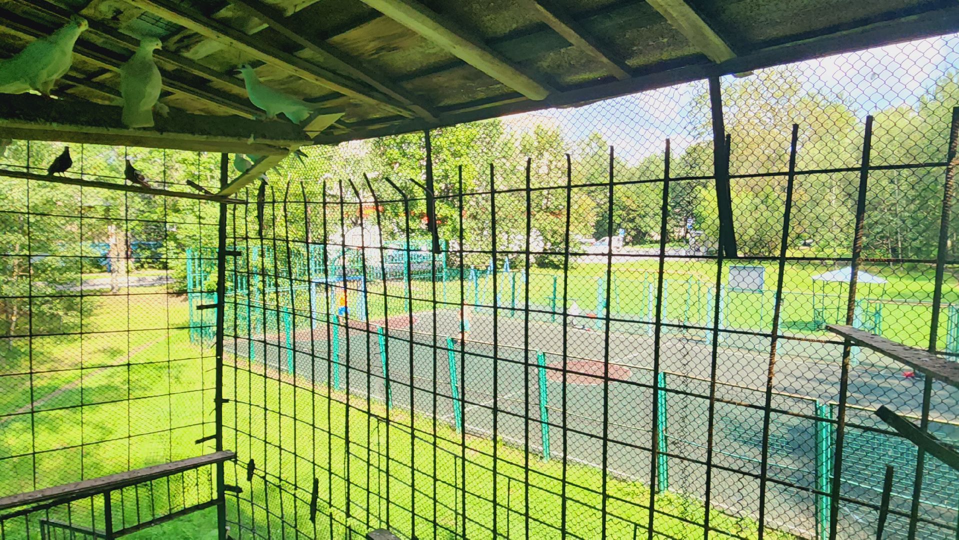 Подмосковье, Ивантеевка, общество