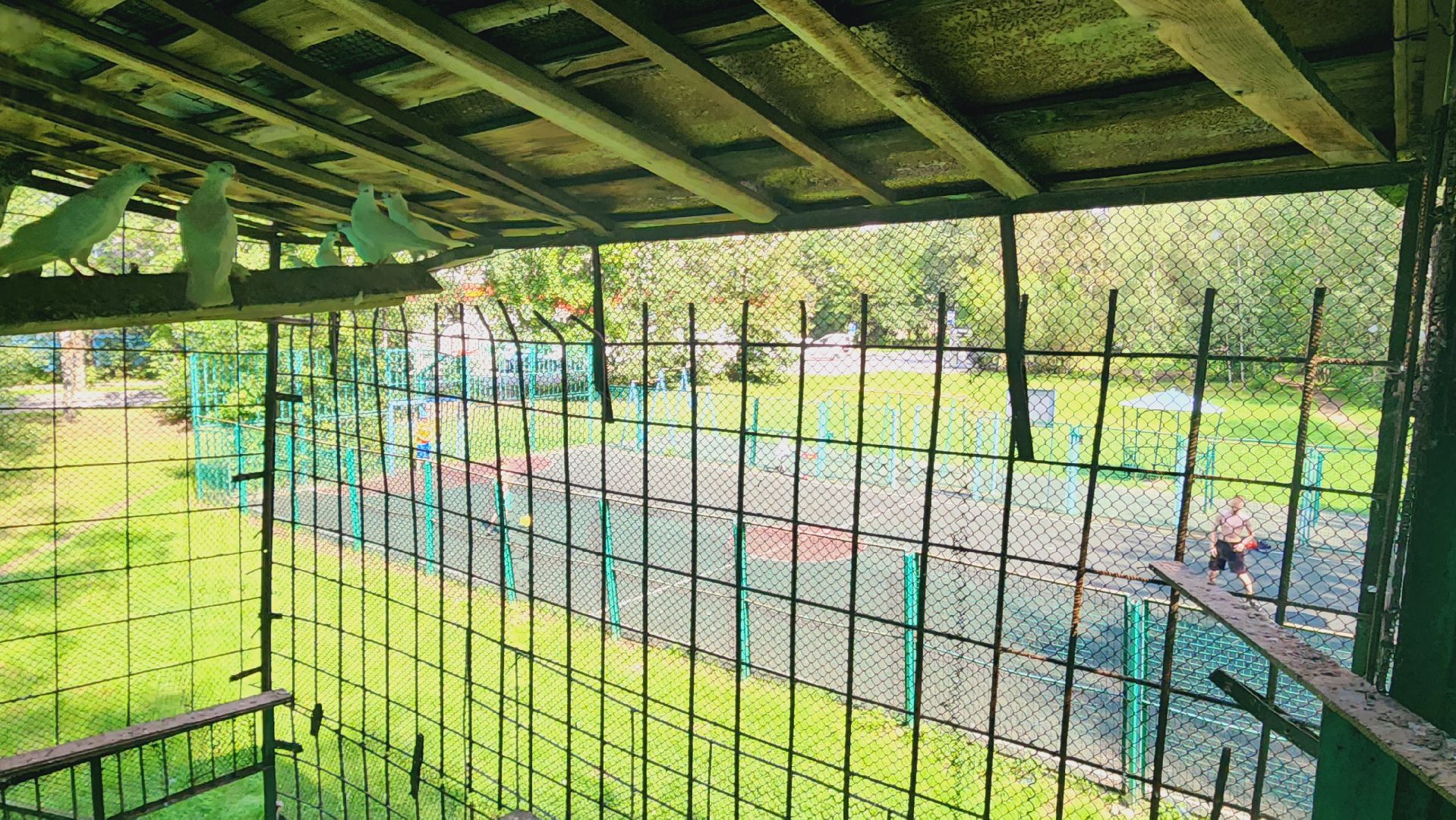 Подмосковье, Ивантеевка, общество