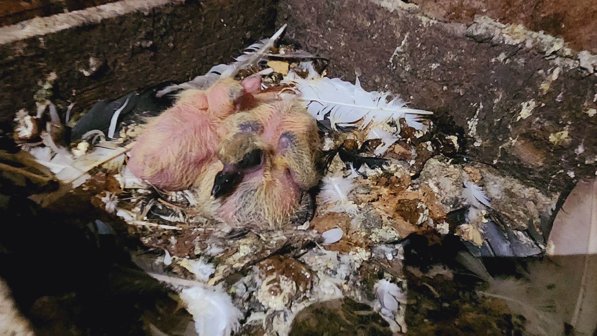 Подмосковье, Ивантеевка, общество