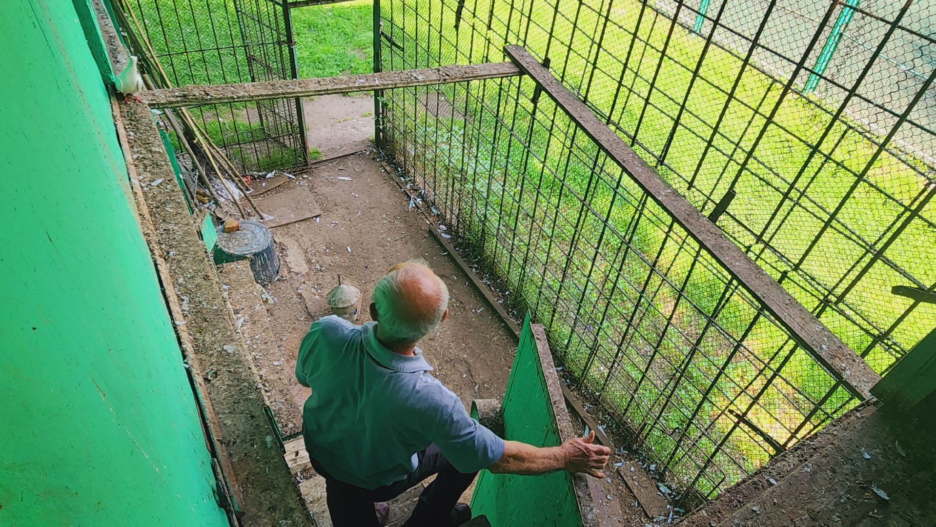 Подмосковье, Ивантеевка, общество