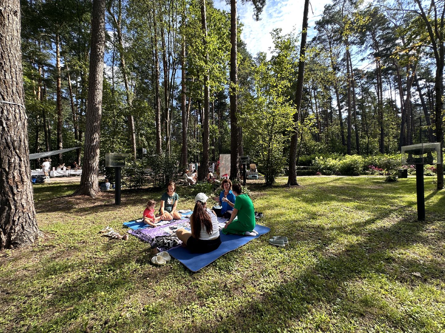 Одинцово, Раздолье, Игропрактика, Фестиваль йоги