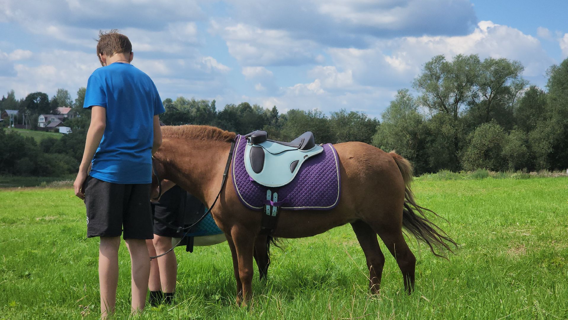 Пушкино, Пушкинский округ, Мураново, День варенья