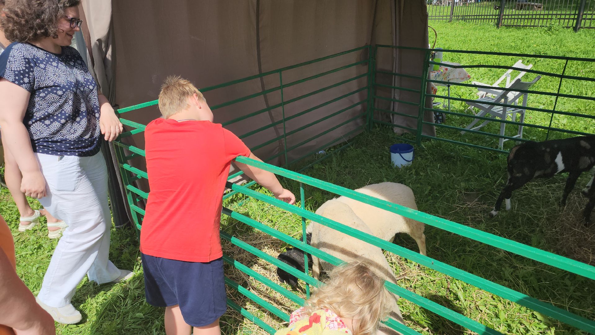 Пушкино, Пушкинский округ, Мураново, День варенья