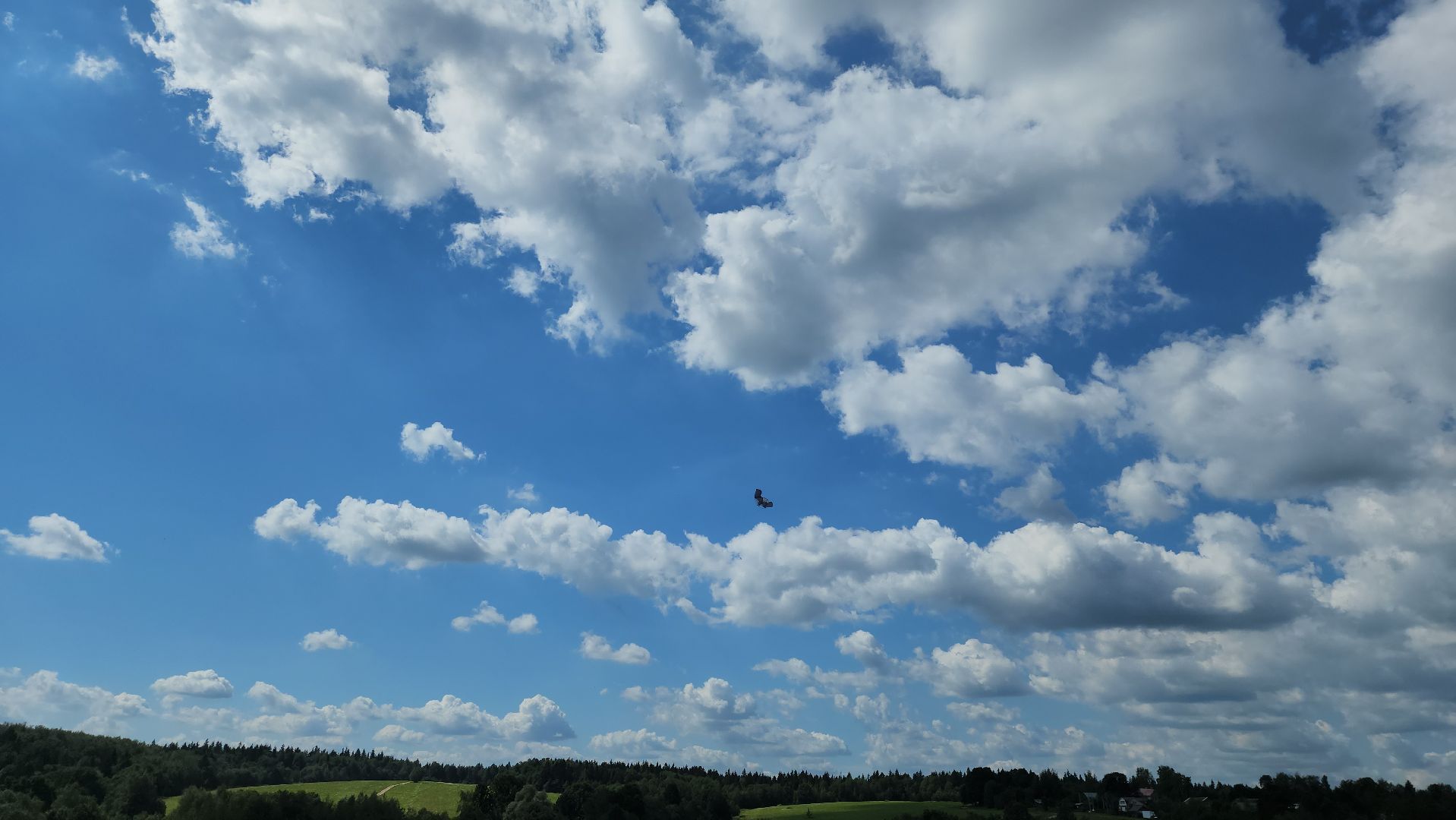 Пушкино, Пушкинский округ, Мураново, День варенья