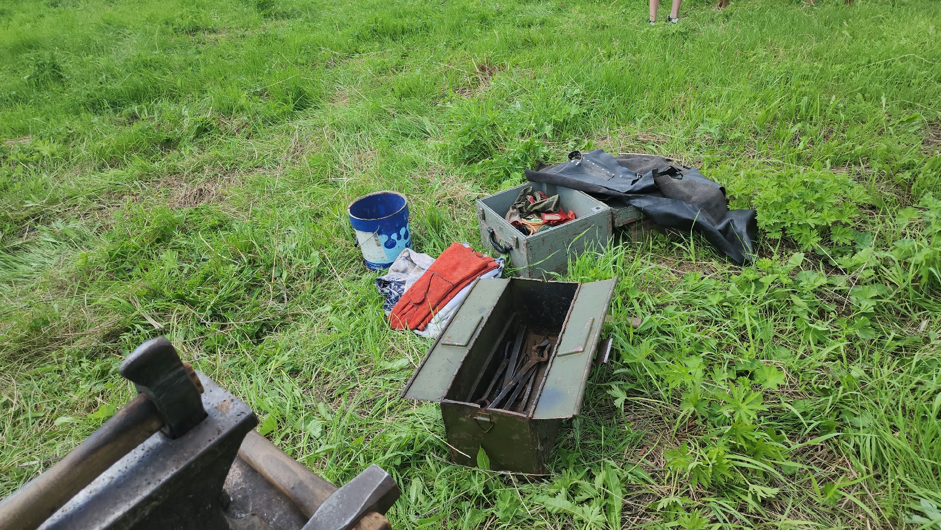 Пушкино, Пушкинский округ, Мураново, День варенья