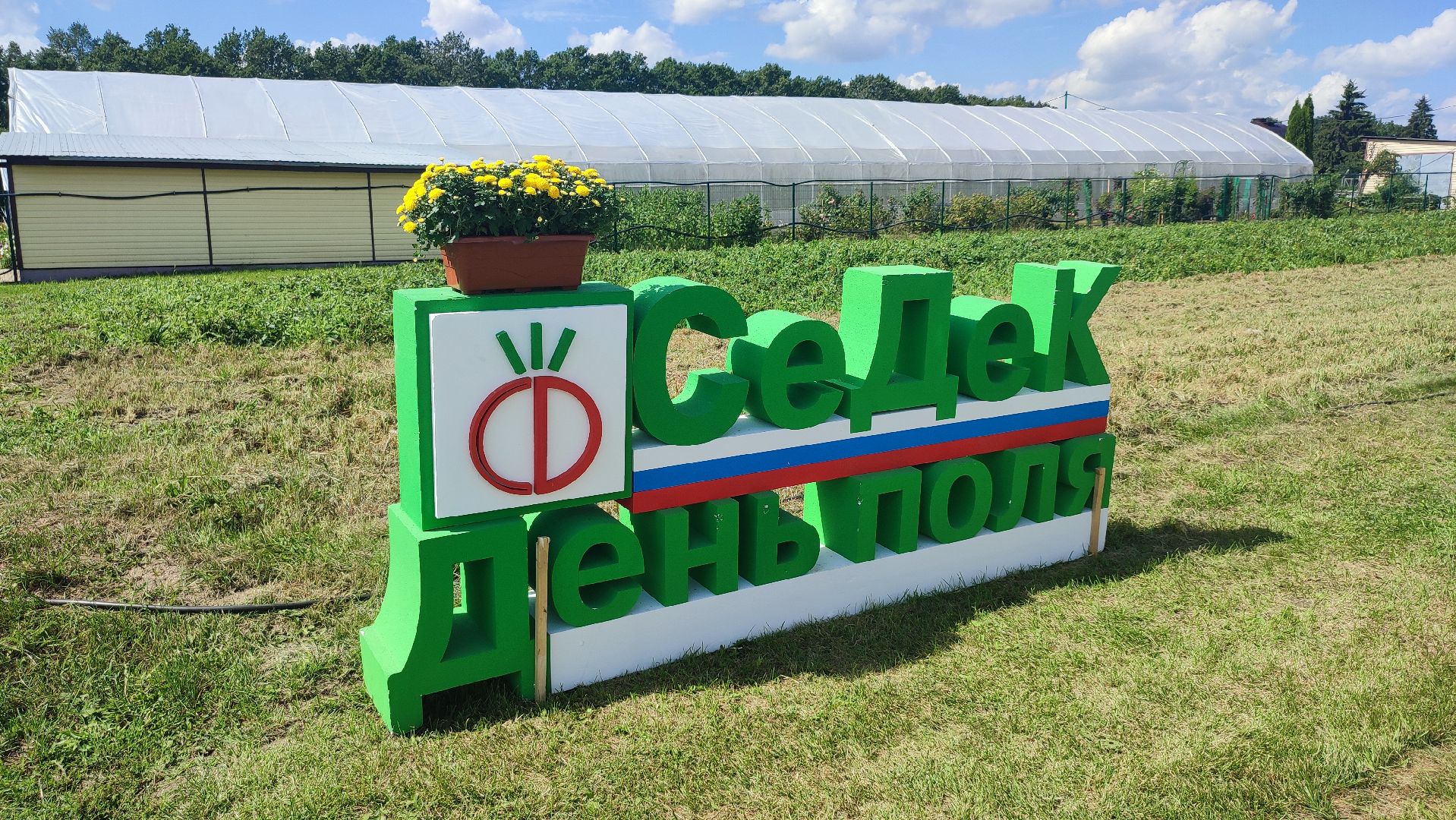 Кашира, СеДек, День поля, картофель, импортозамещение