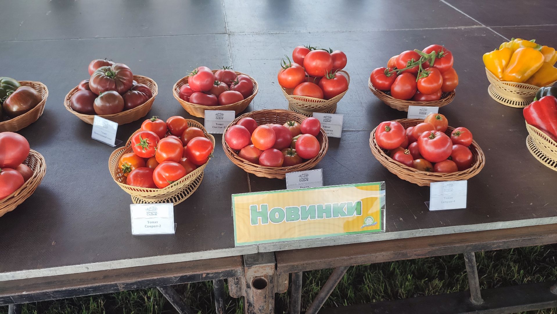 Кашира, СеДек, День поля, картофель, импортозамещение