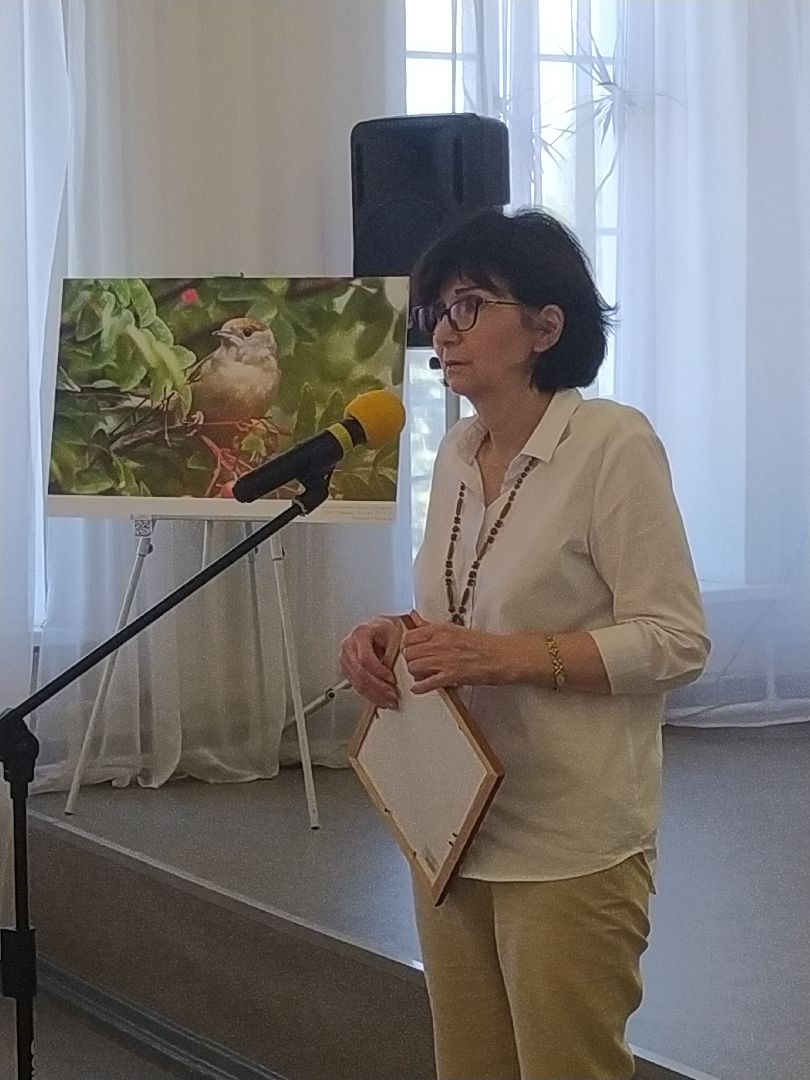 Коломна Фото Птицы