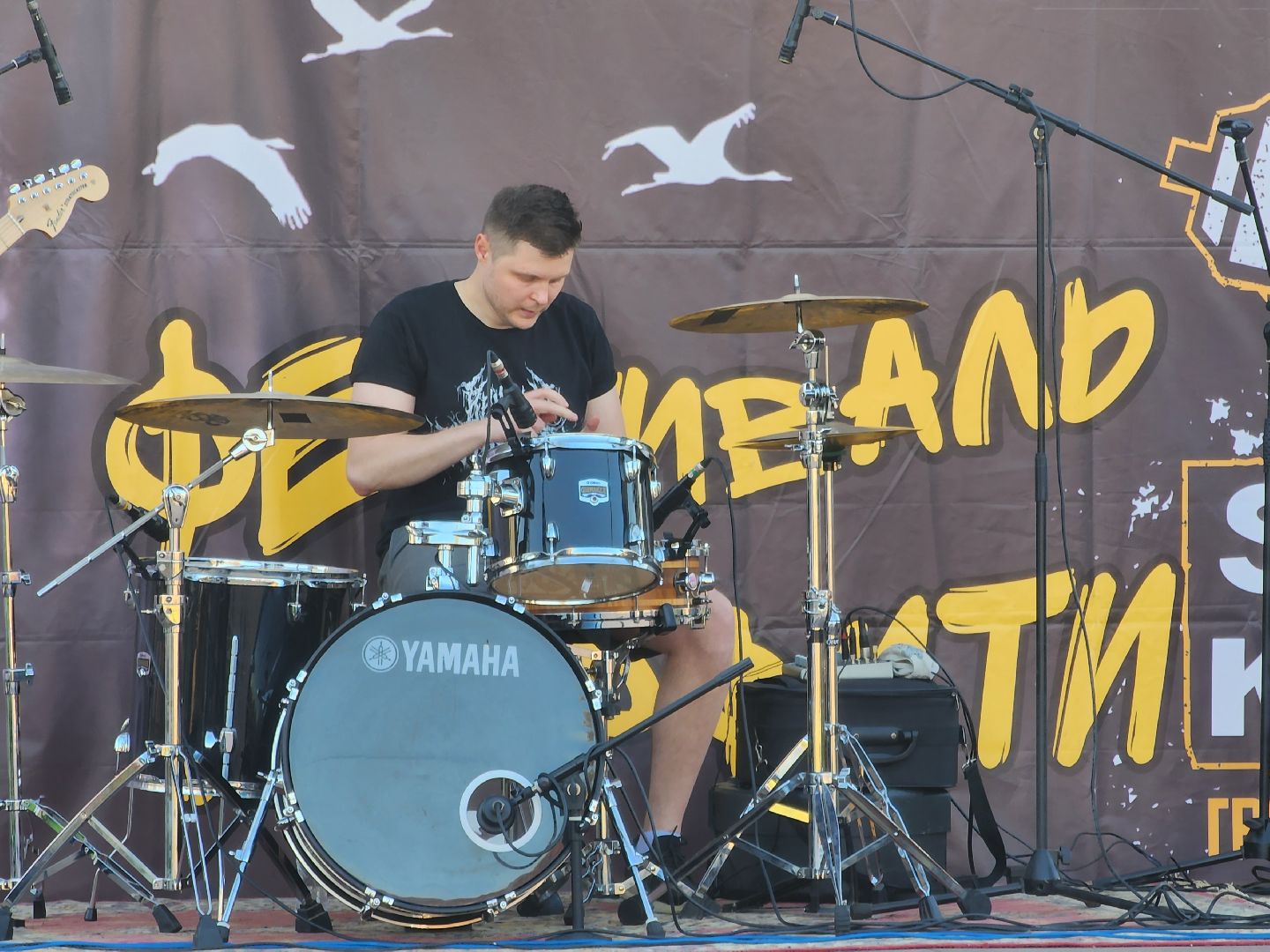 Павловский Посад, городской округ Павловский Посад, люди, праздник, концерт, группа, фестиваль