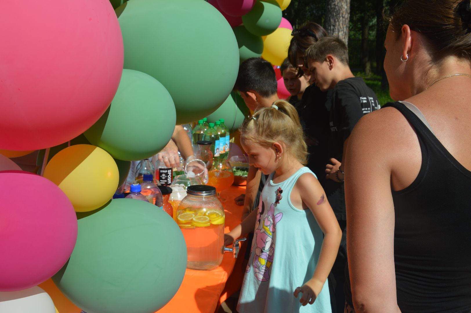 городской округ Шатура, общественная палата, фестиваль Летние сны