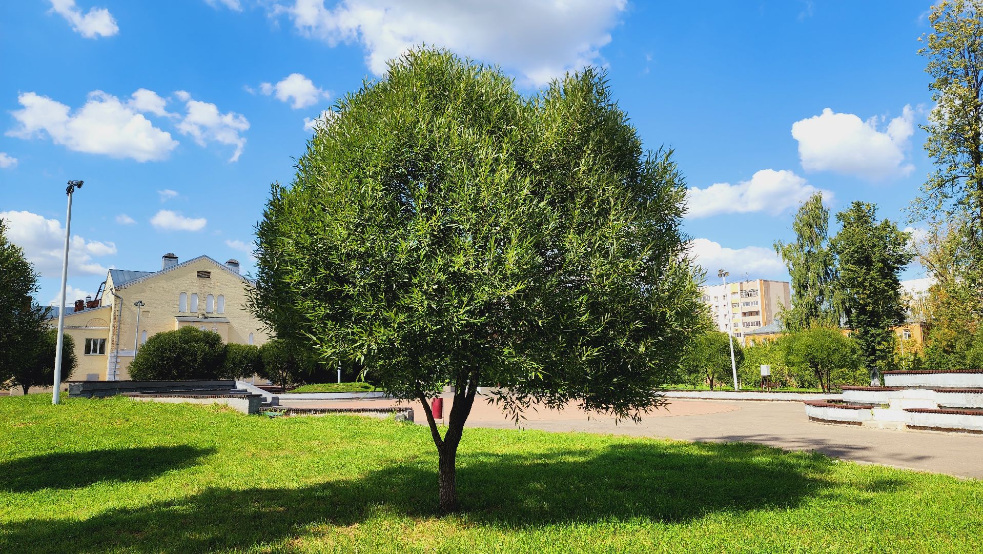 Подмосковье, Ивантеевка, благоустройство