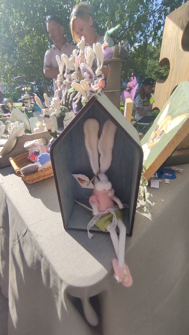 #ЛетниеСны2023#БольшаяШатура#фестиваль#лето#мастера, Орехово-Зуево, Егорорьевск