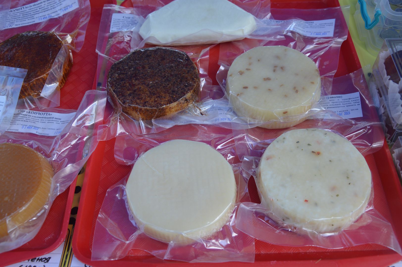 городской округ Шатура, фестиваль, Летние сны, жаренный сыр