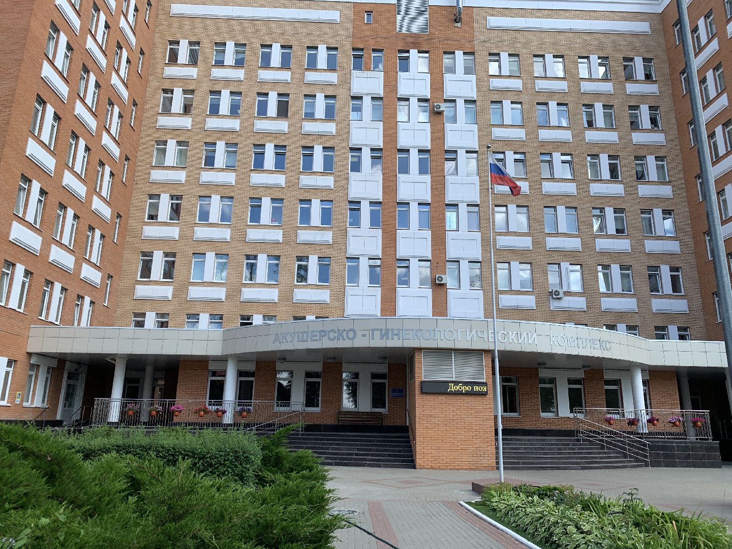 Балашиха, Подмосковье, общество, медицина, многодетные семьи, Всемирная неделя грудного вскармливания