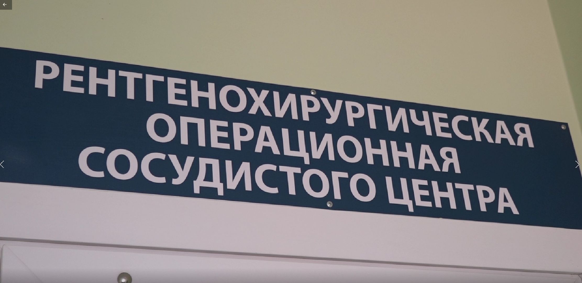 Сосудистый центр, Домодедово
