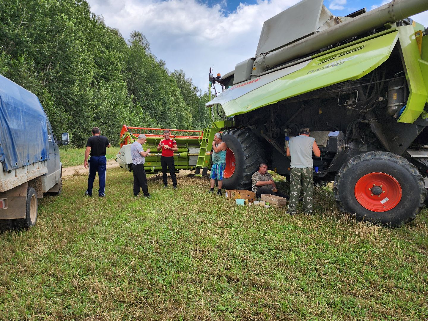 Уборка озимых, Барыбино, Домодедово