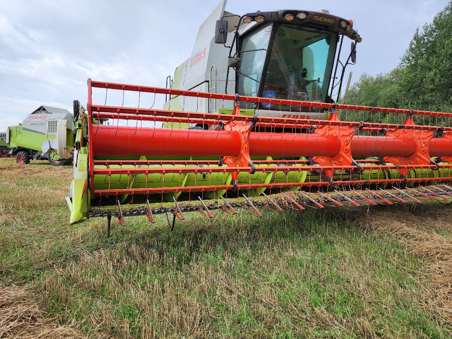 Уборка озимых, Барыбино, Домодедово