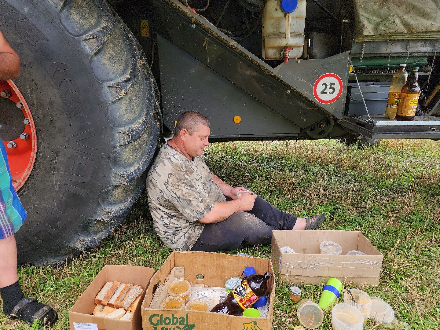 Уборка озимых, Барыбино, Домодедово
