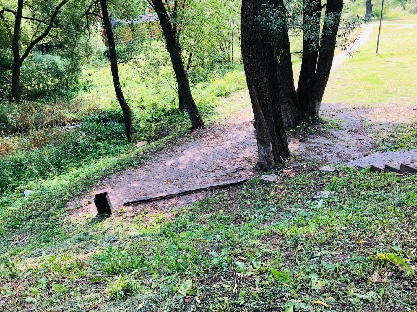 Руза, парк, лукоморье, благоустройство, жители, дети, реконструкция