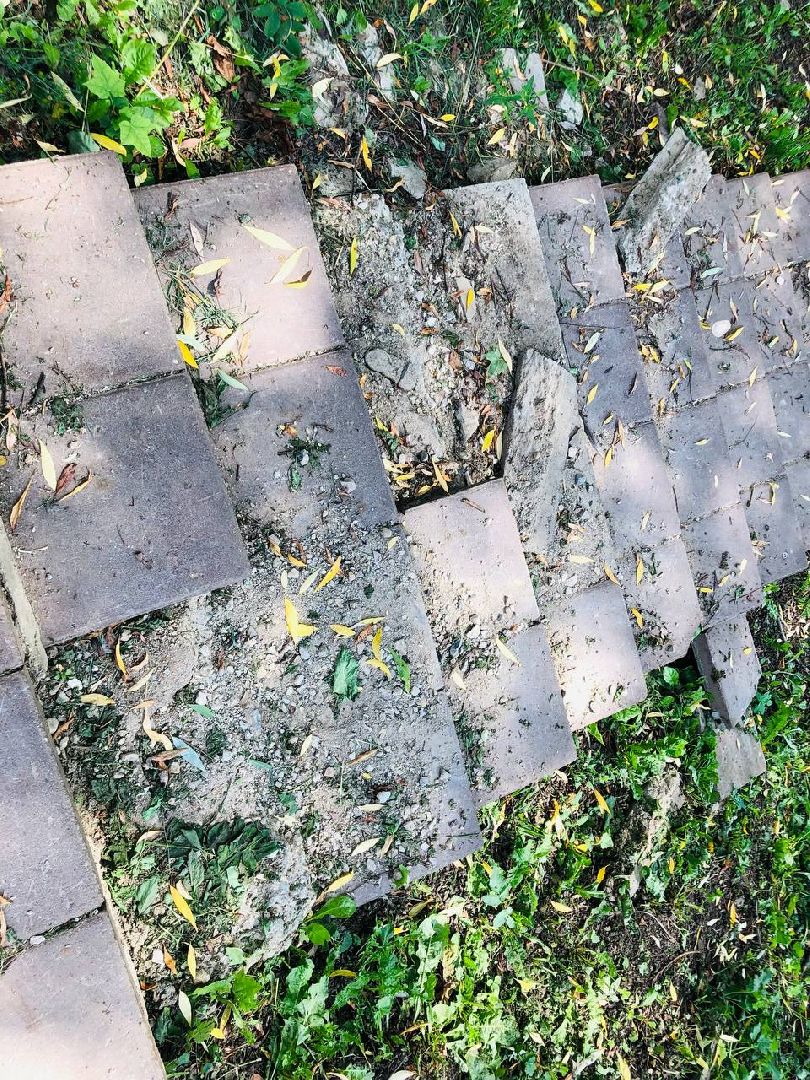 Руза, парк, лукоморье, благоустройство, жители, дети, реконструкция