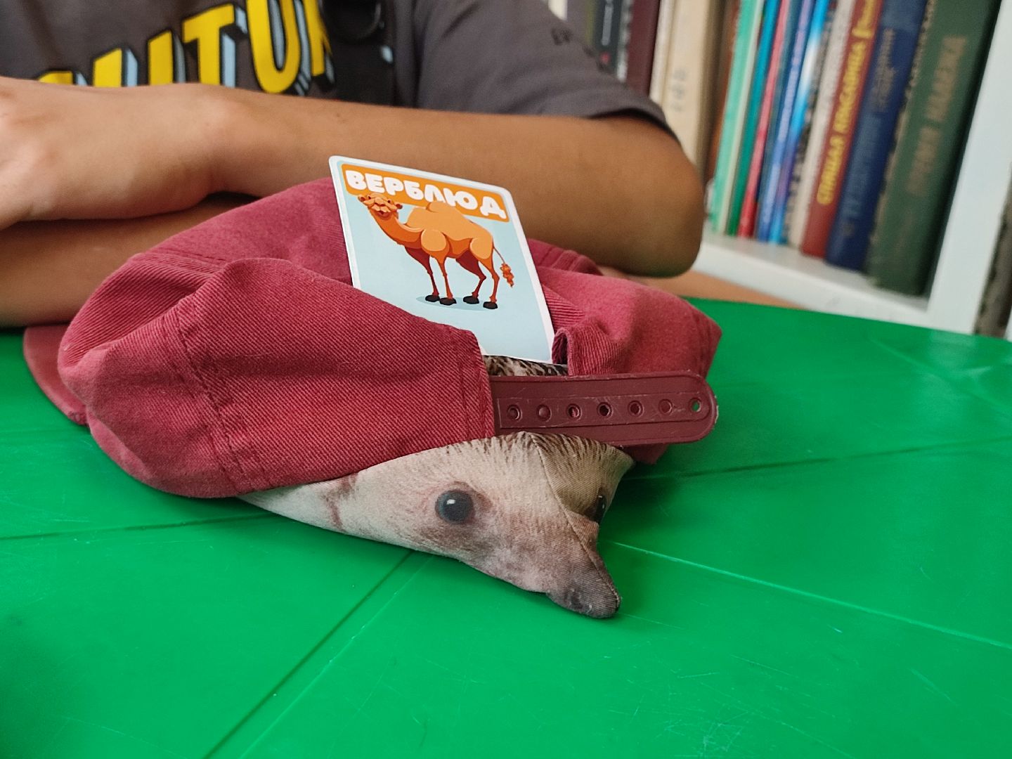 #ктоя, #игры, #настольныеигры, #талдом, #паркпобеды