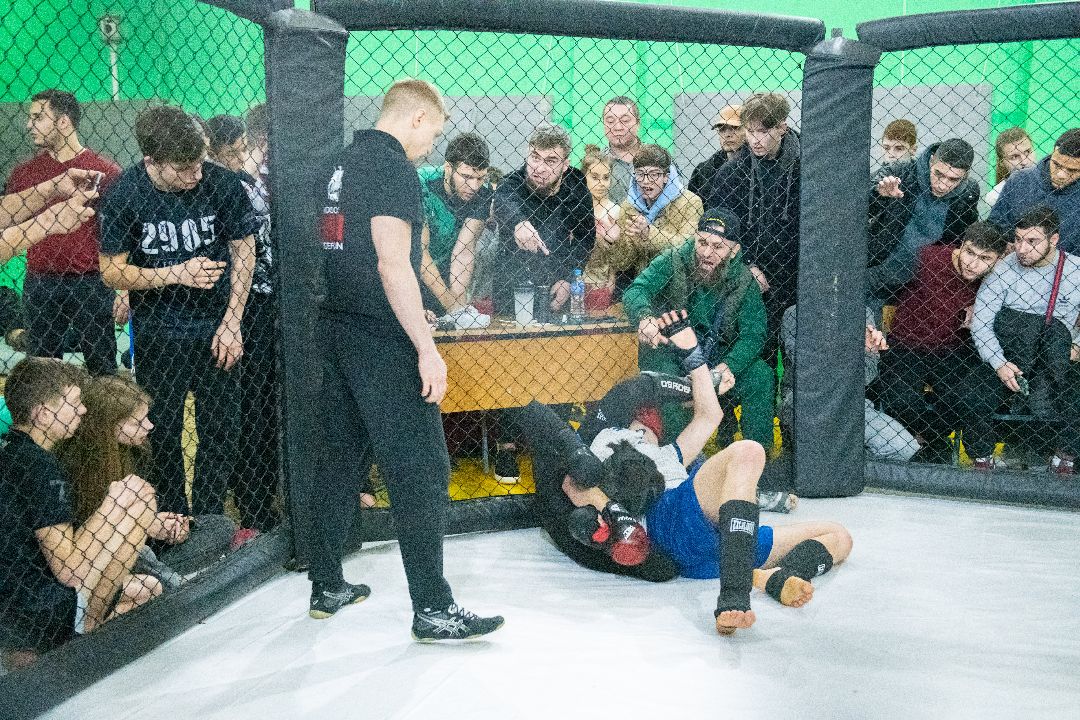 Лыткарино Спорт