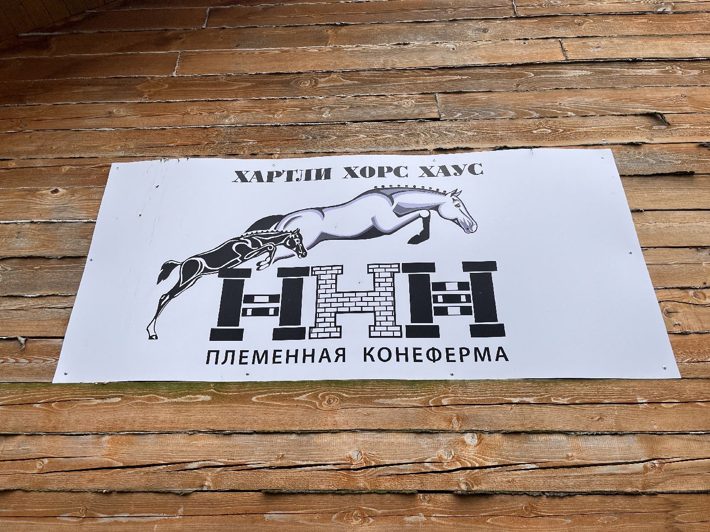 Шаховская, лошади, лошадиная ферма