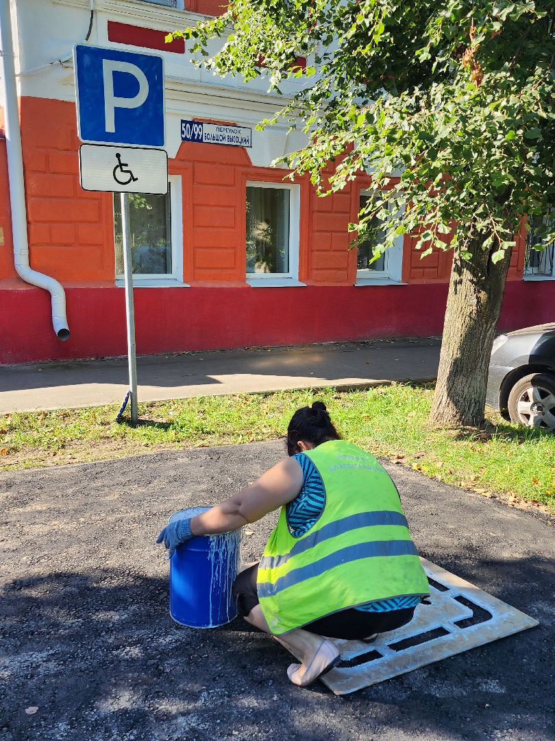 инвалид, парковка для инвалида, люди с ОВЗ, транспорт, Серпухов, доступная среда,