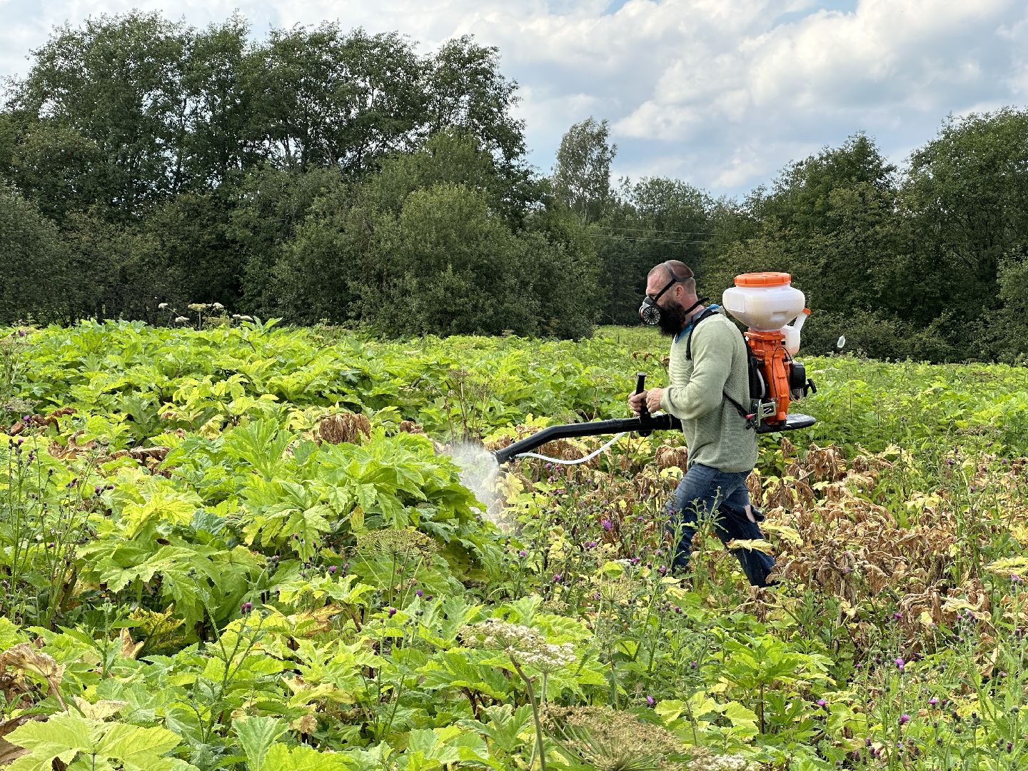 Клин, фермеры, общество, сельское хозяйство, Подмосковье