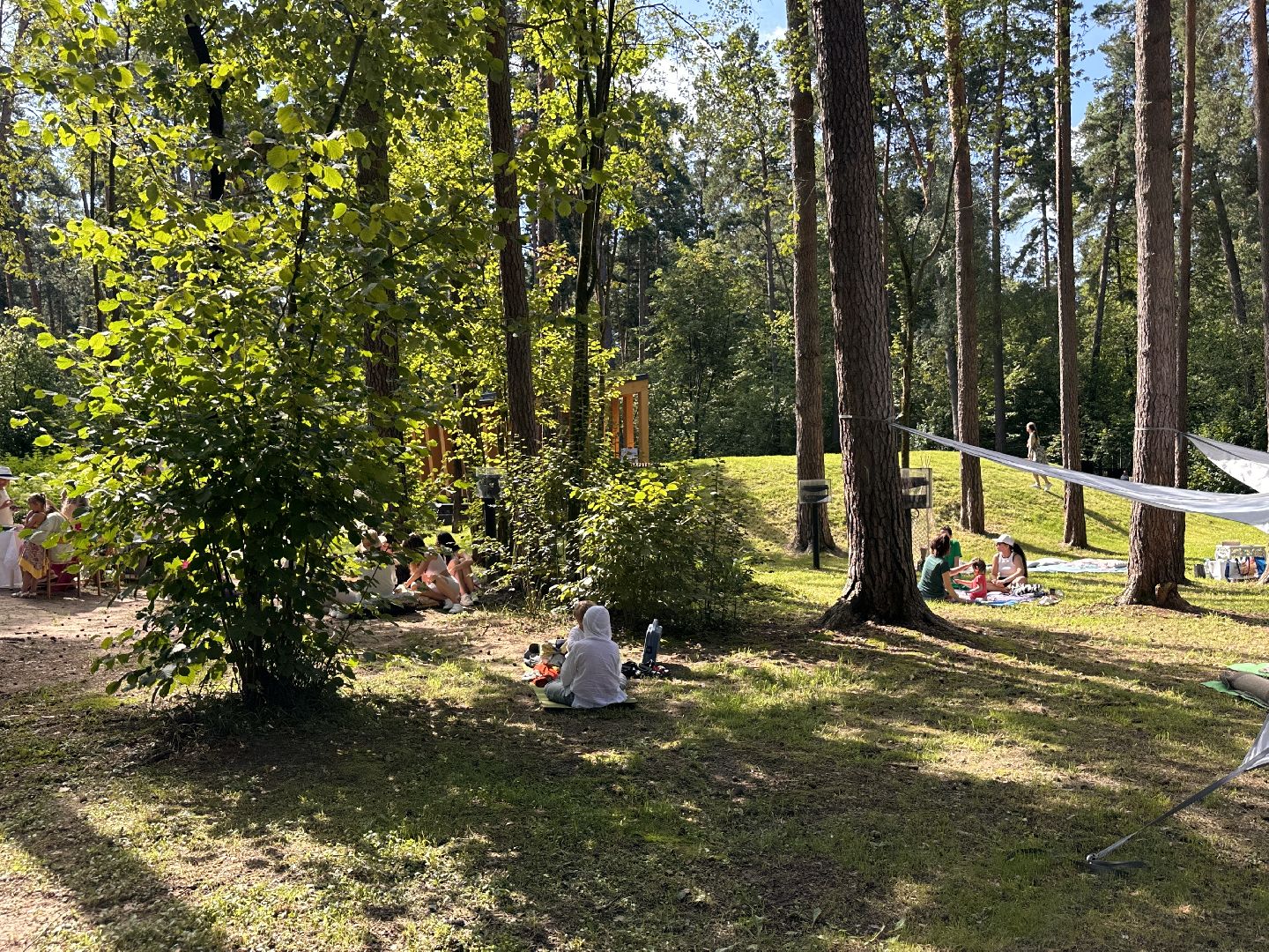 Раздолье, Парки Подмосковья, Фестиваль йоги, Благотворительность