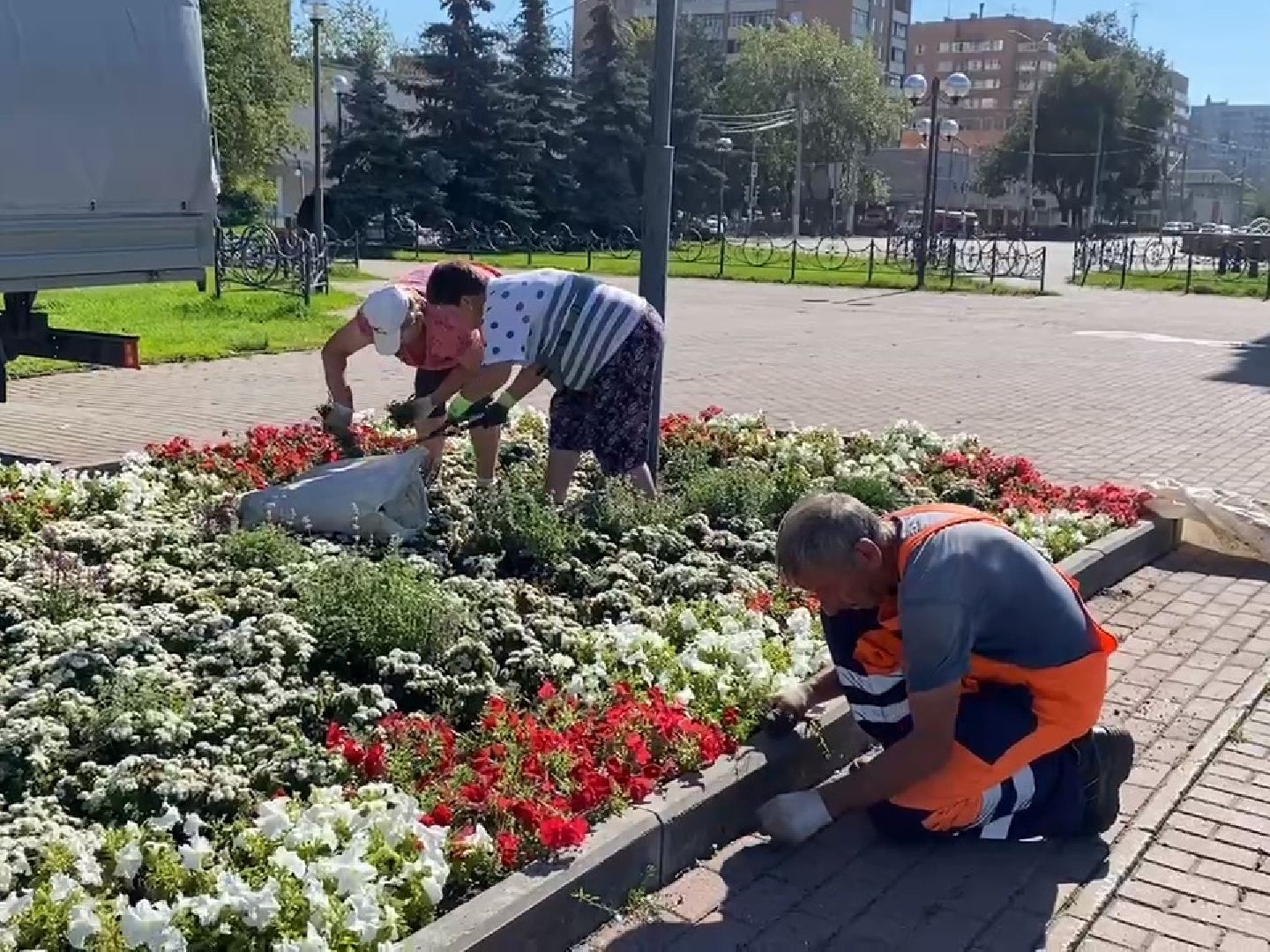 Подольск, цветы, благоустройство