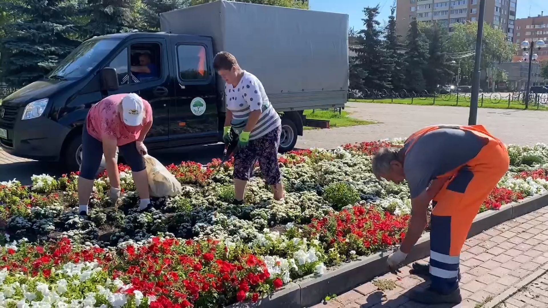 Подольск, цветы, благоустройство