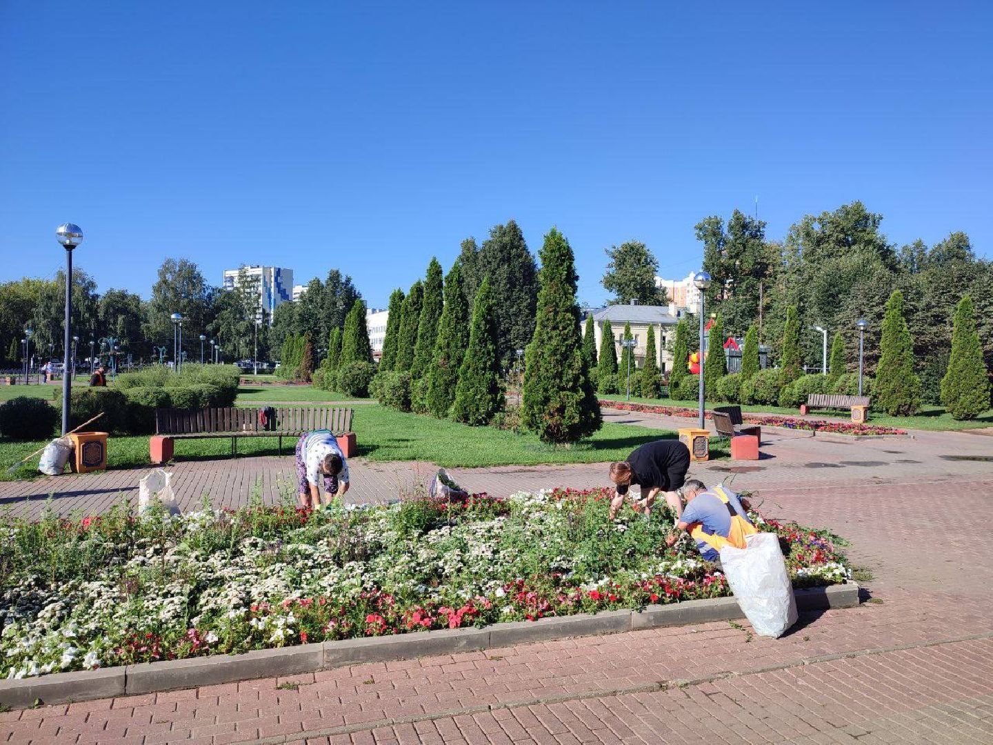 Подольск, цветы, благоустройство