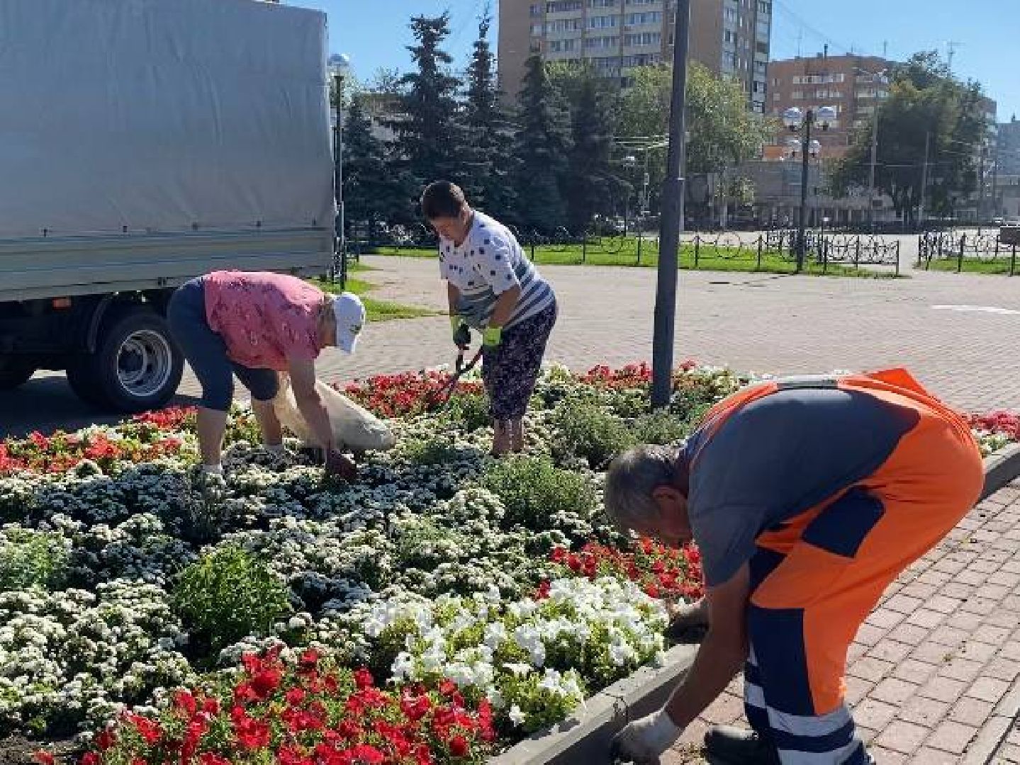 Подольск, цветы, благоустройство