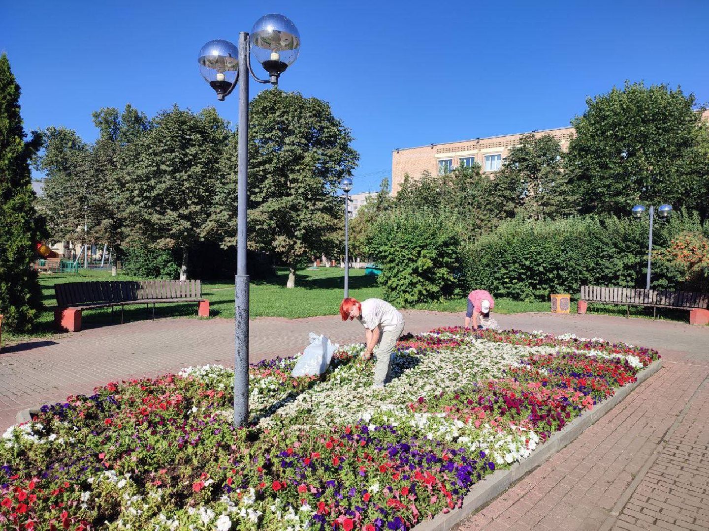 Подольск, цветы, благоустройство