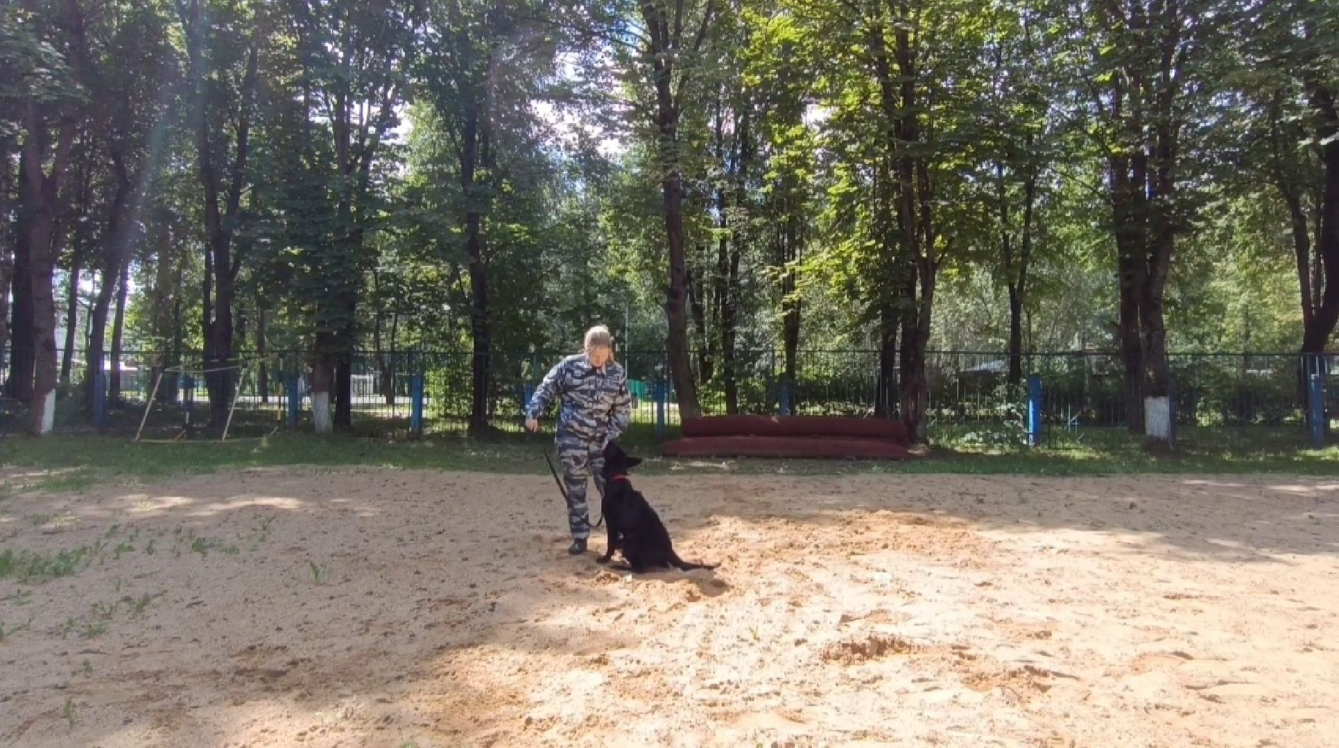 Лобня, собака, полиция